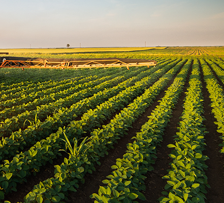 सभामुख र मन्त्रीद्वारा कृषिका कार्यक्रम अनुगमन